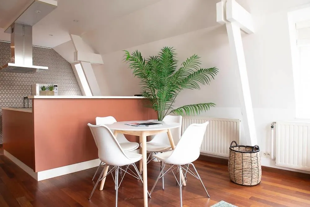 Beautiful City Center Apartments In Ghent Near Medieval Castle 0*,  België